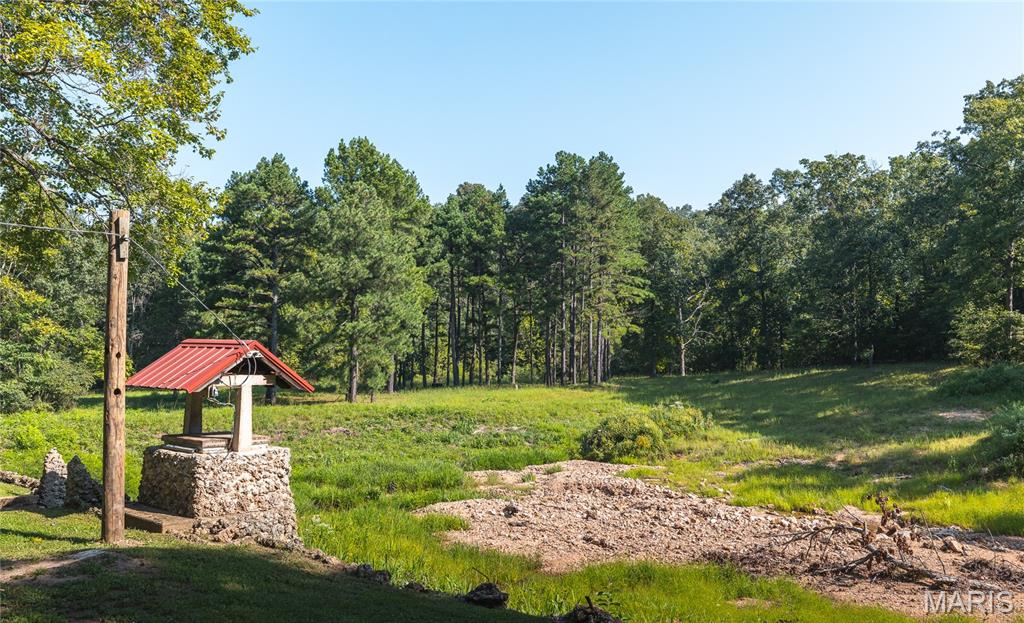 385 Highway V Property Photo 38