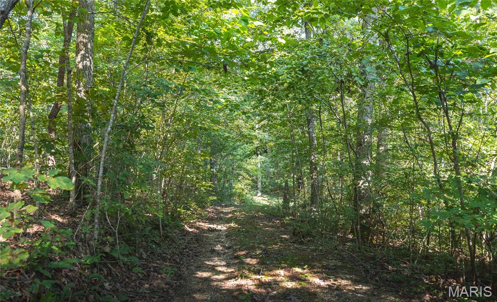 385 Highway V Property Photo 41