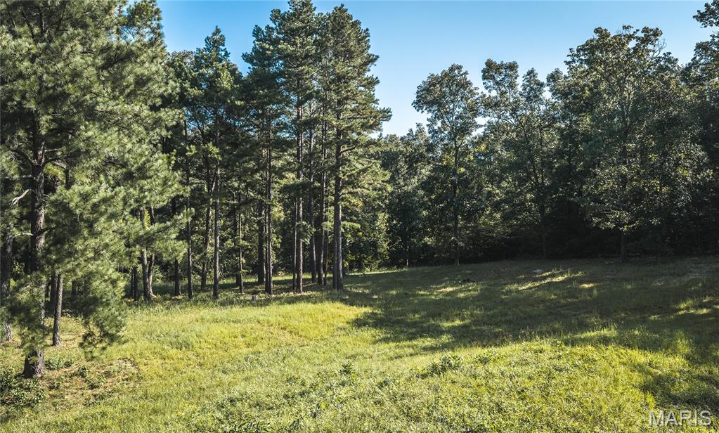 385 Highway V Property Photo 42