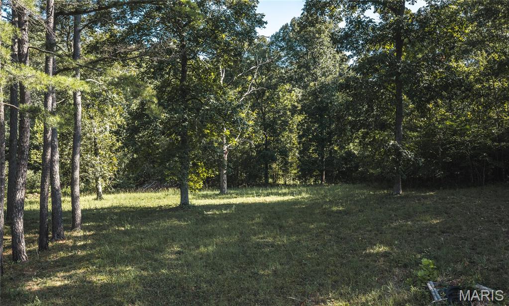 385 Highway V Property Photo 43