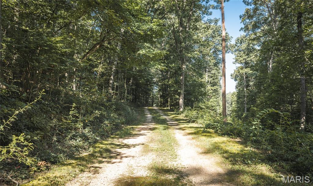 385 Highway V Property Photo 46