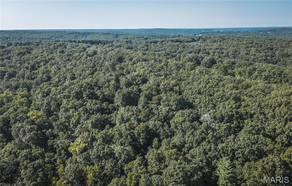 385 Highway V Property Photo 52