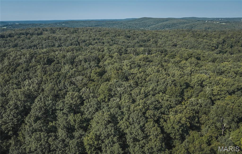 385 Highway V Property Photo 54