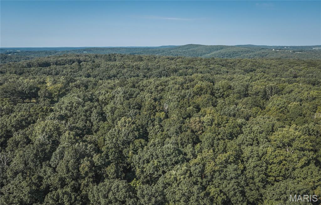 385 Highway V Property Photo 55