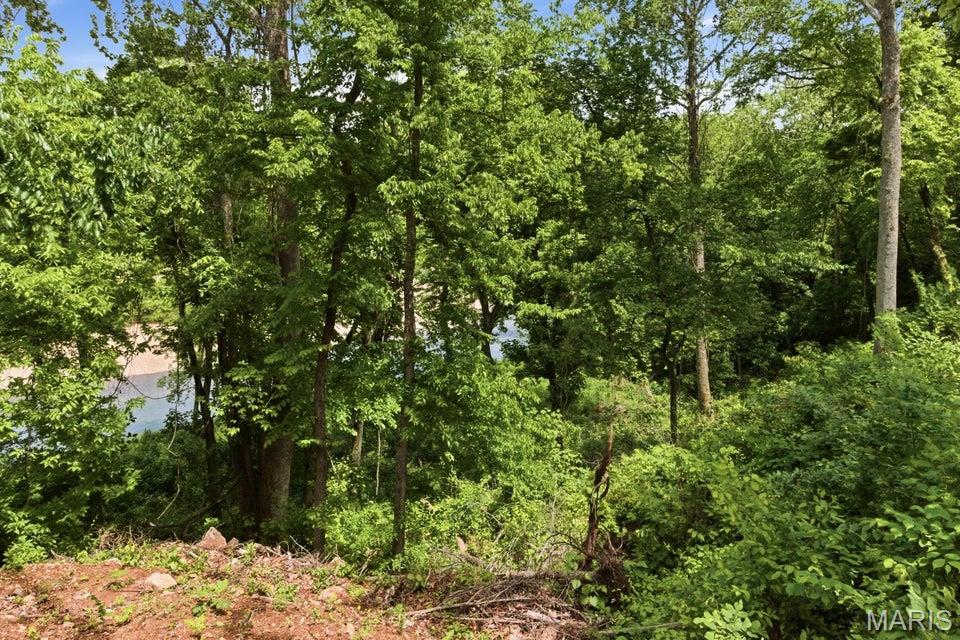 Tract 4 Circle B Road Property Photo 9