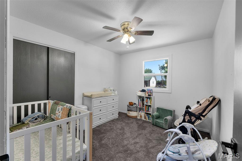 12 Jessie Street Property Photo 14