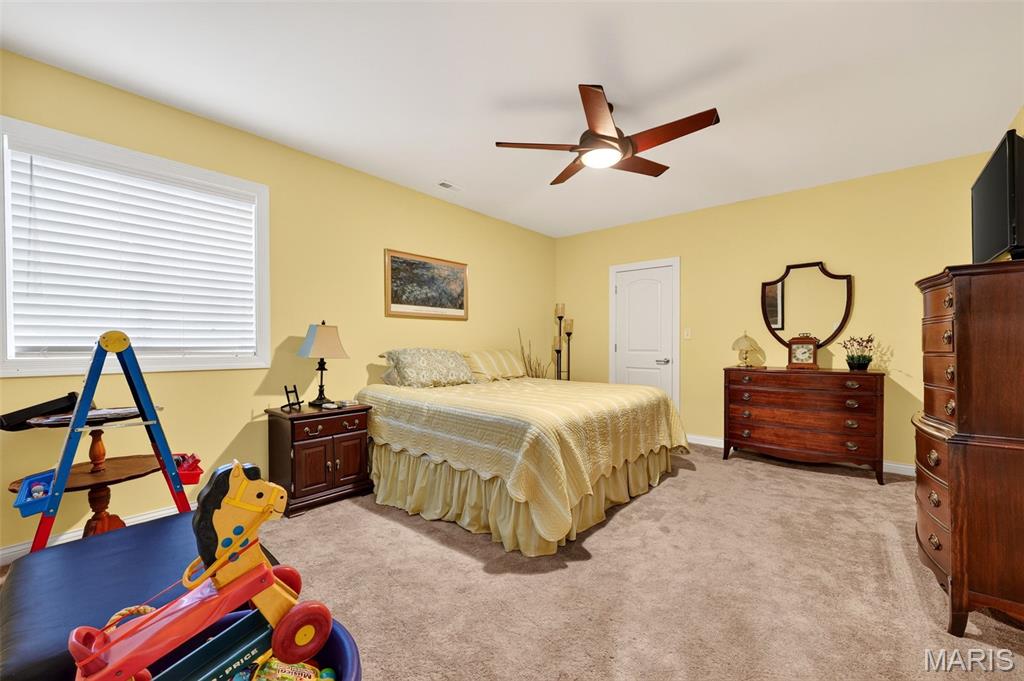 4425 Lookout Point Drive Property Photo 47