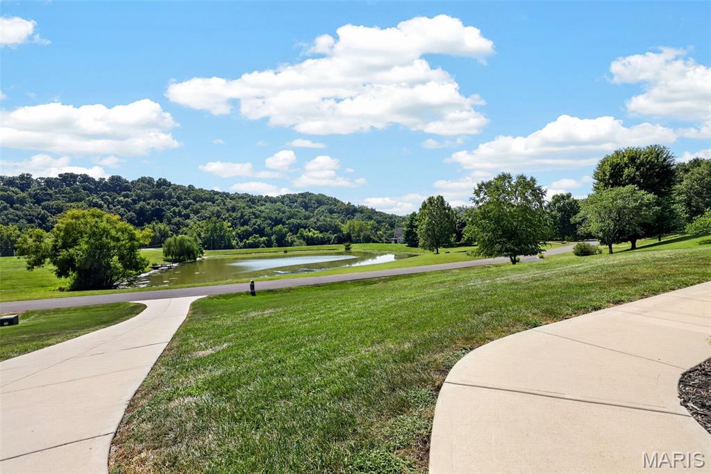 4425 Lookout Point Drive Property Photo 55