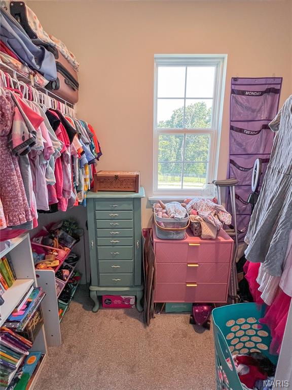 1013 Vardon Meadows Drive Property Photo 35