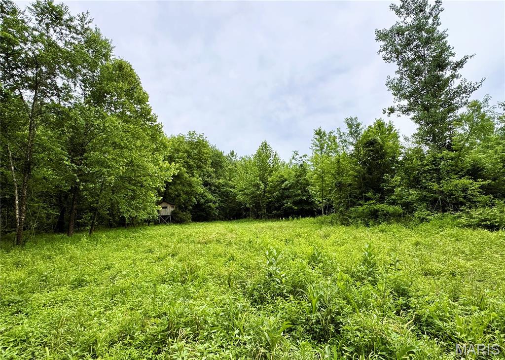 0 County Road 232 Property Photo 8
