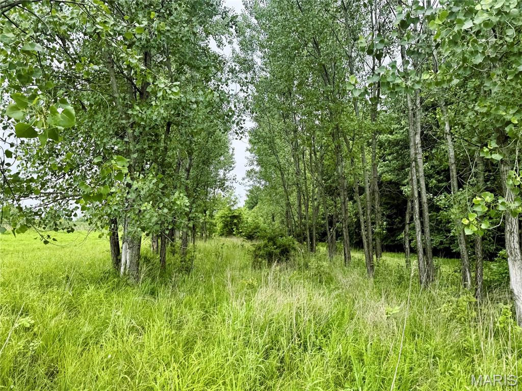 0 County Road 232 Property Photo 18