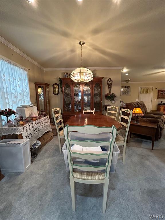 411 Dacus Drive Property Photo 4