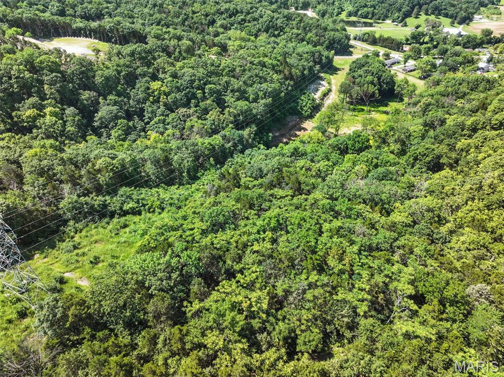 45 +/- Ac Twin River Road Property Photo 24