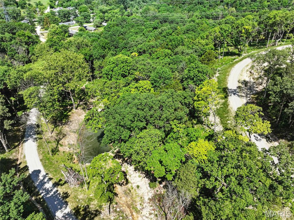 45 +/- Ac Twin River Road Property Photo 32