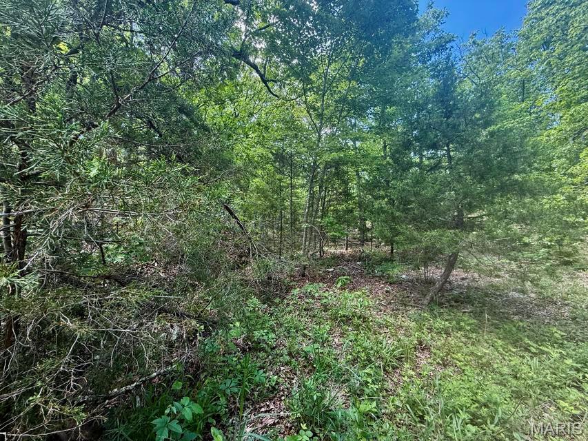 000 Bailey Property Photo 3