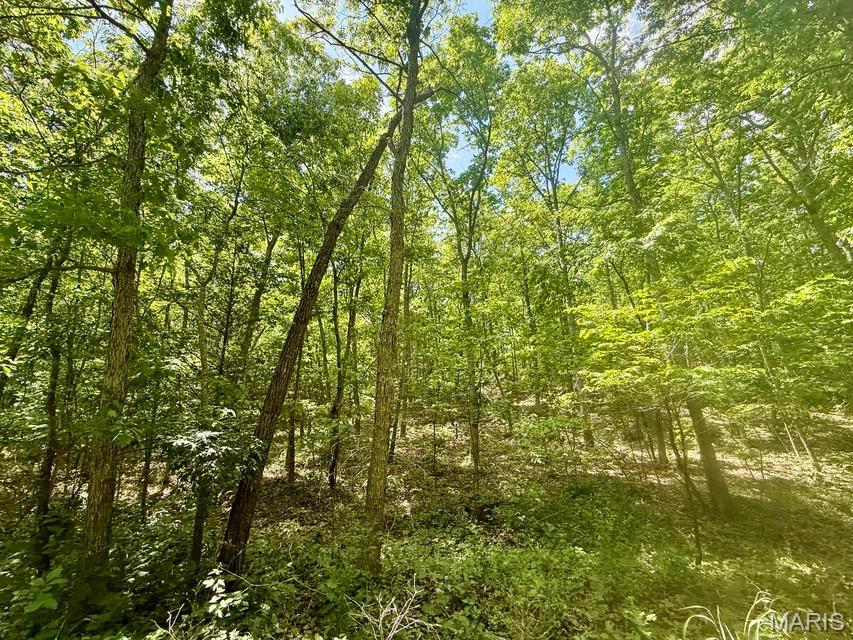 000 Bailey Property Photo 16