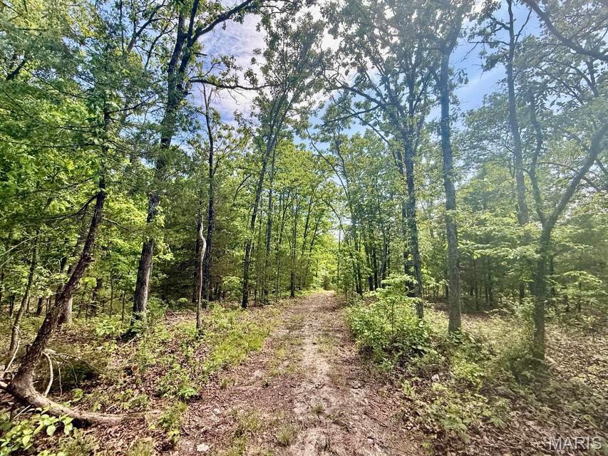 000 Bailey Property Photo 18