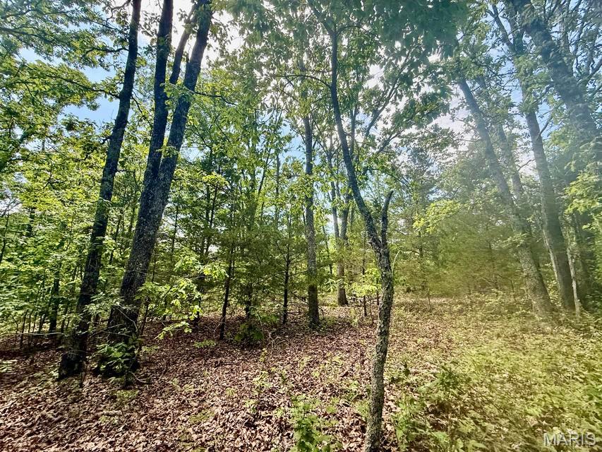 000 Bailey Property Photo 19