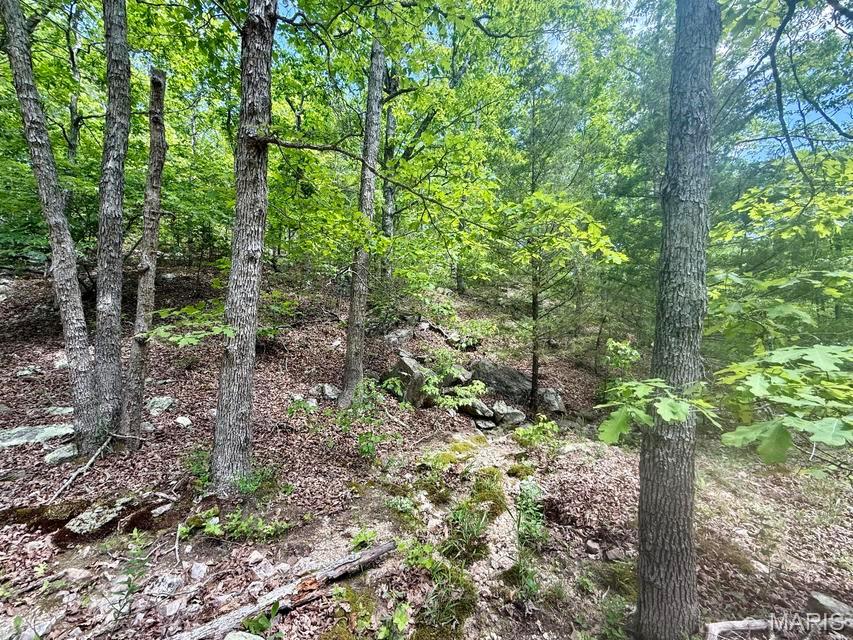 000 Bailey Property Photo 20