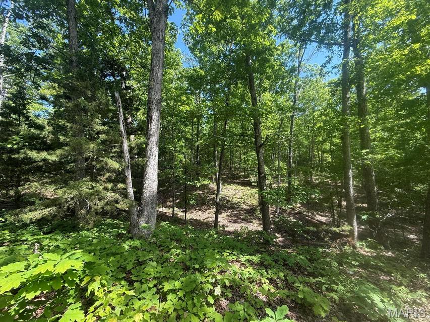 000 Bailey Property Photo 28