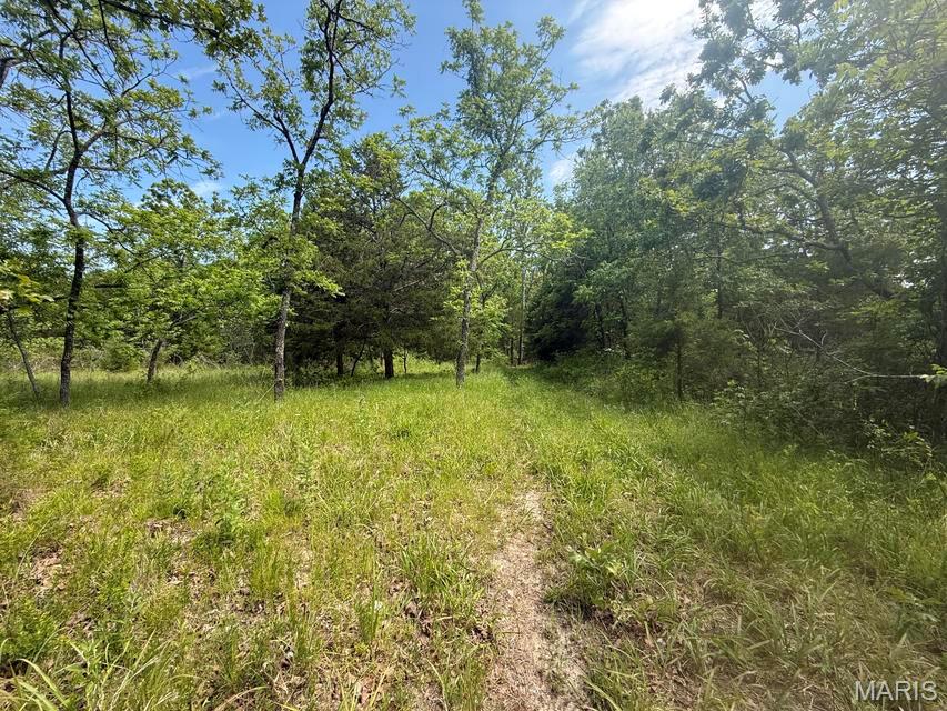 000 Bailey Property Photo 29