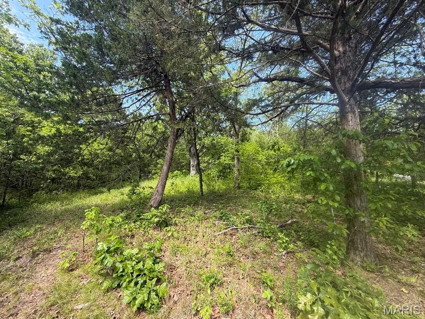 000 Bailey Property Photo 30