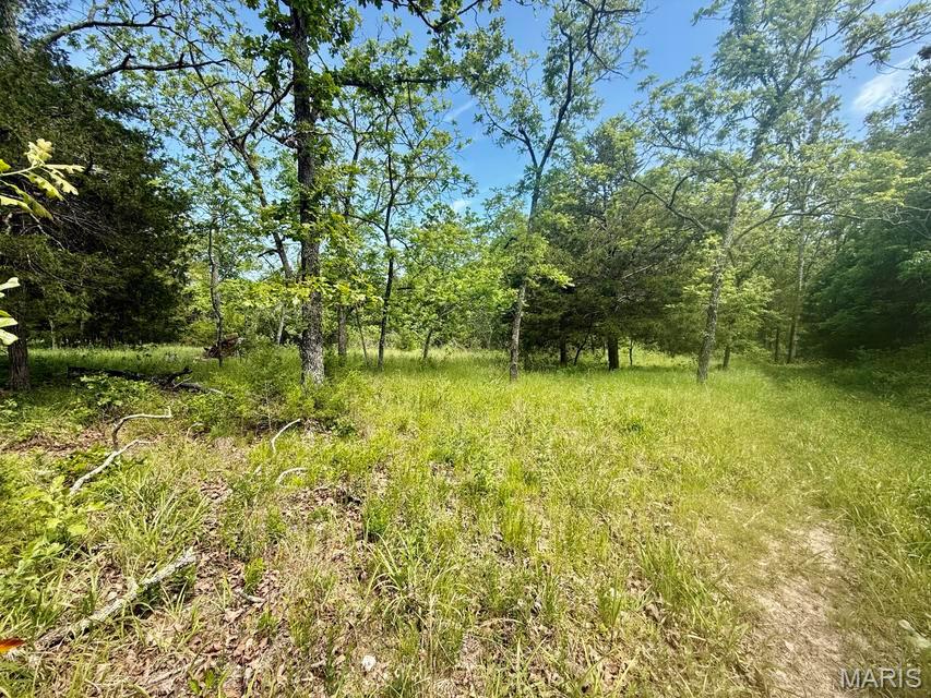 000 Bailey Property Photo 31