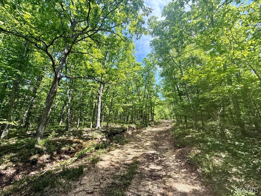 000 Bailey Property Photo 33