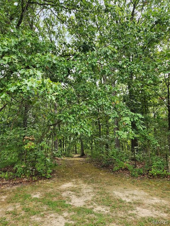 31 Fawn Trail Property Photo 30