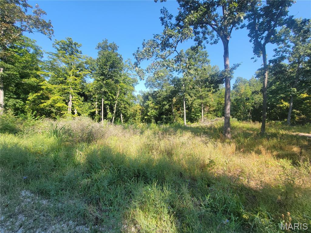 237 Jerry Miller Lane Property Photo 39