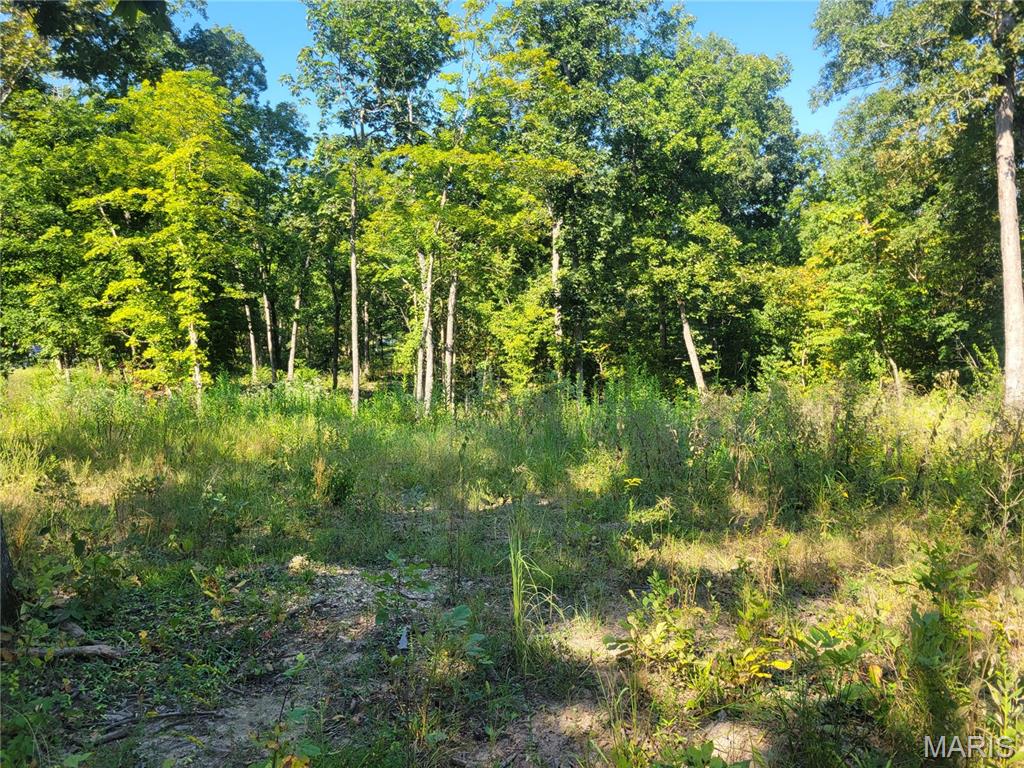 237 Jerry Miller Lane Property Photo 40