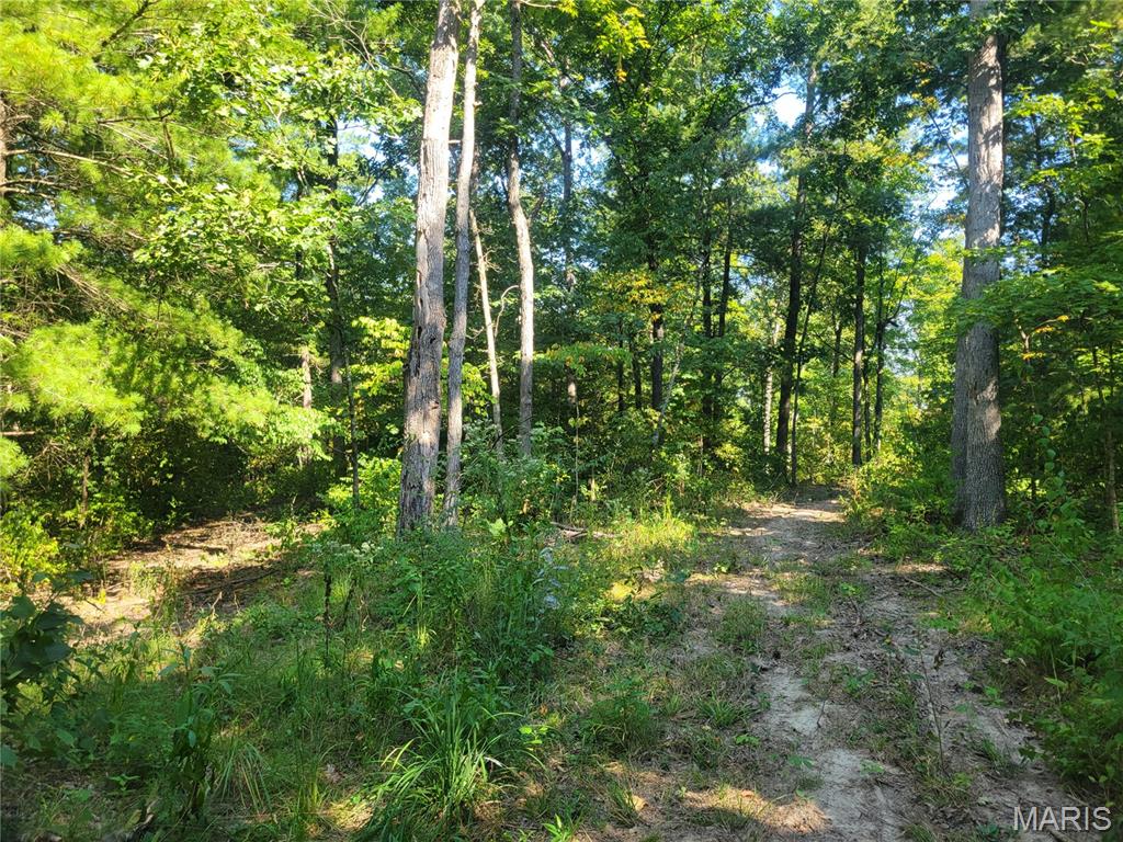 237 Jerry Miller Lane Property Photo 41