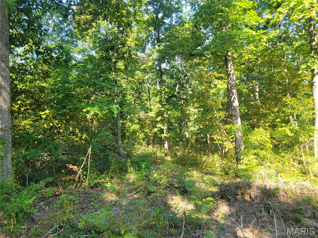 237 Jerry Miller Lane Property Photo 42