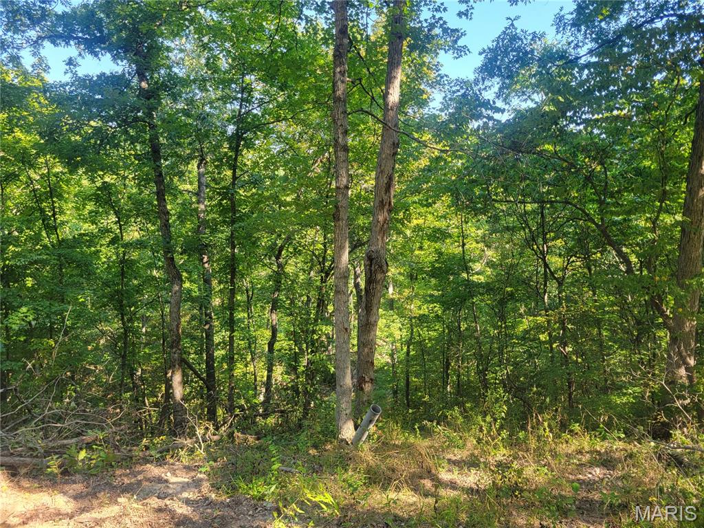237 Jerry Miller Lane Property Photo 43