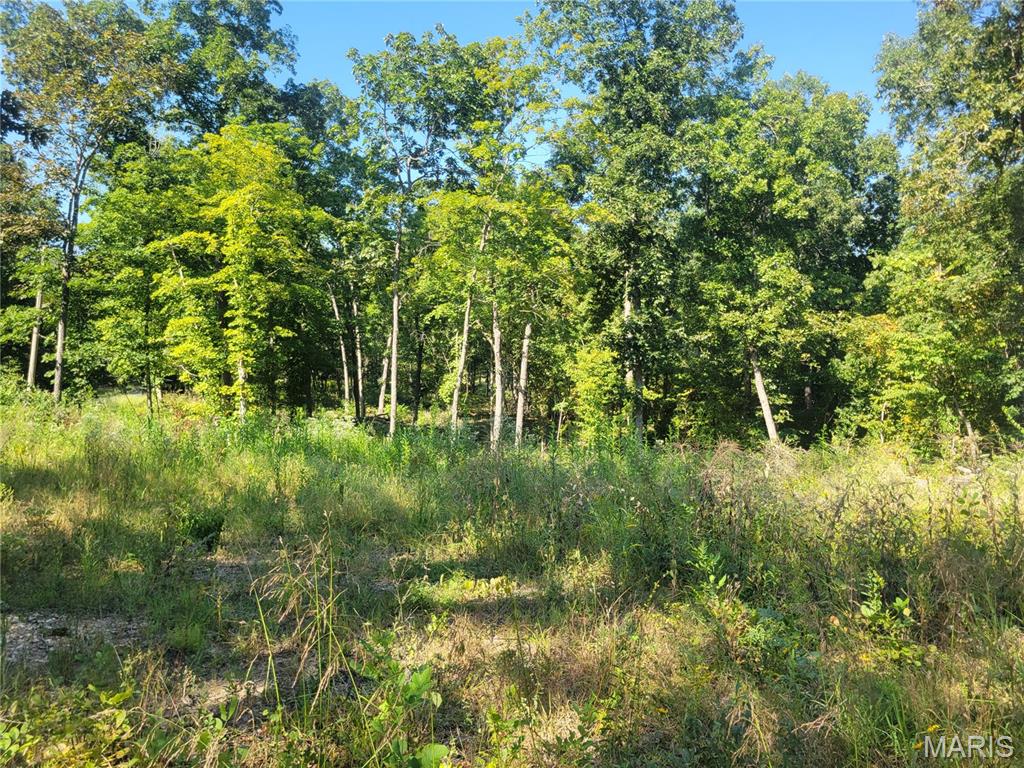 237 Jerry Miller Lane Property Photo 44