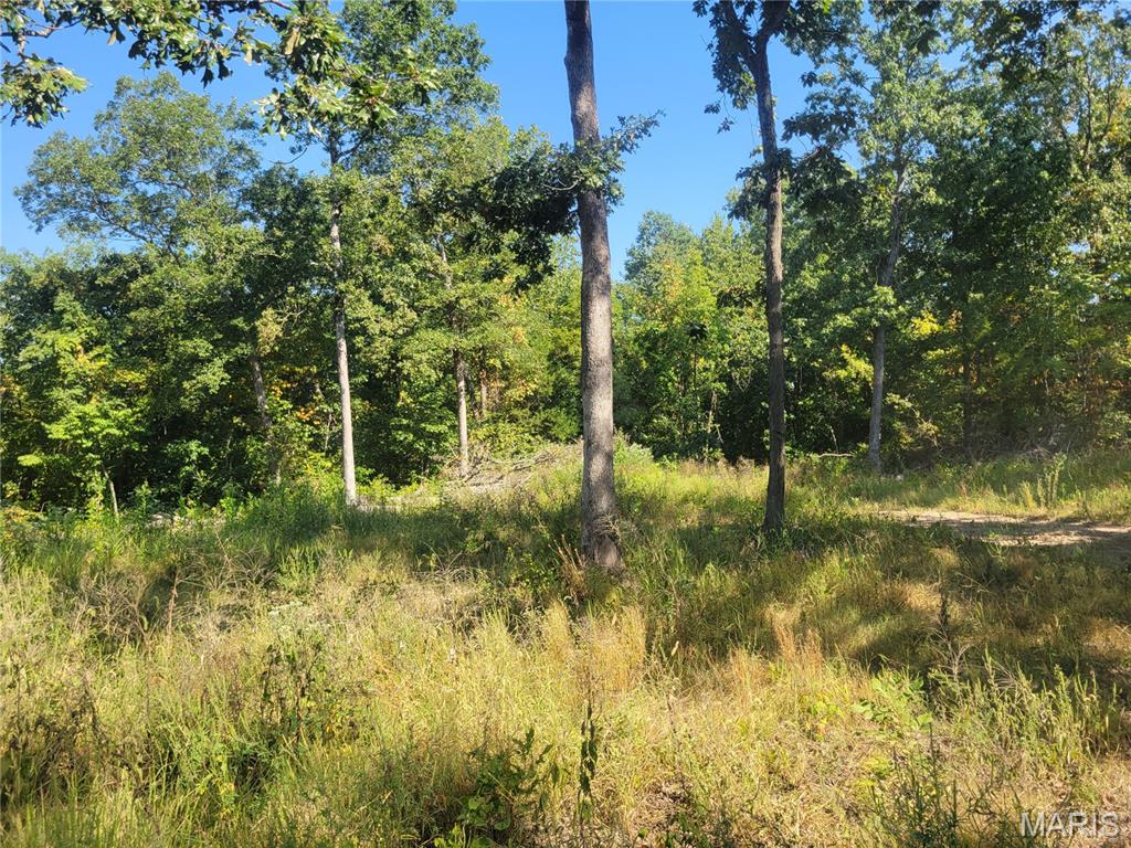 237 Jerry Miller Lane Property Photo 45