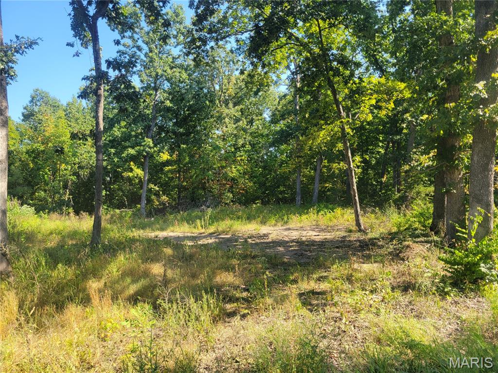 237 Jerry Miller Lane Property Photo 46