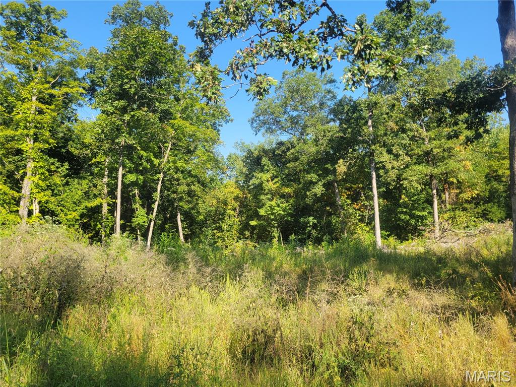 237 Jerry Miller Lane Property Photo 47