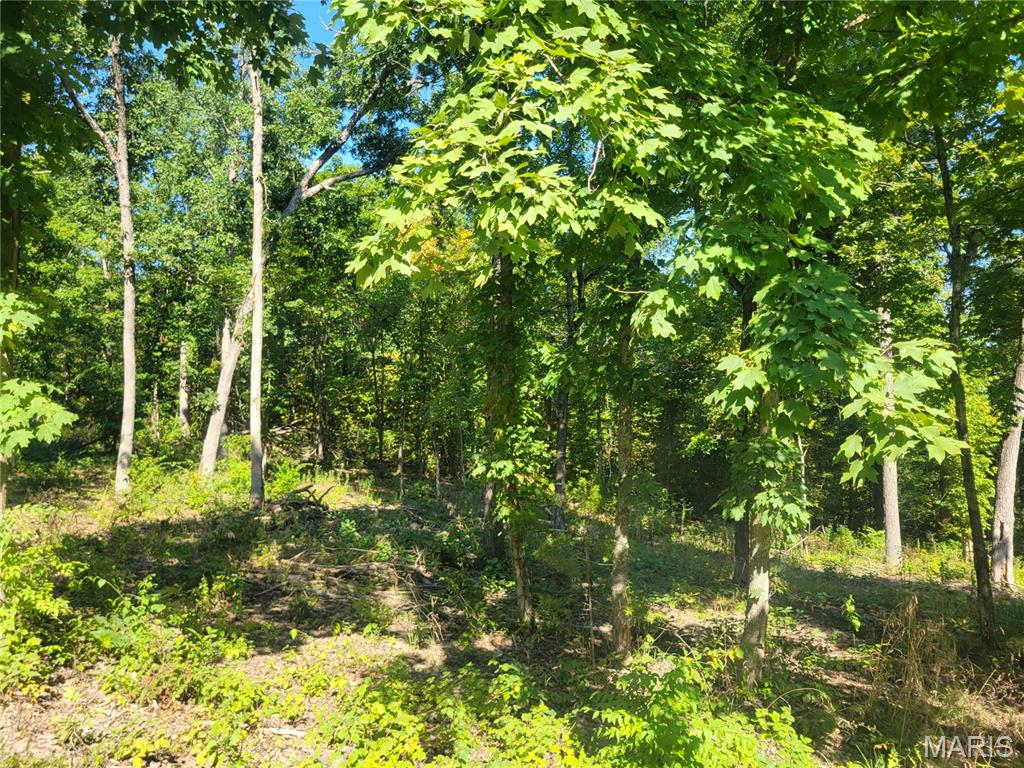 237 Jerry Miller Lane Property Photo 49
