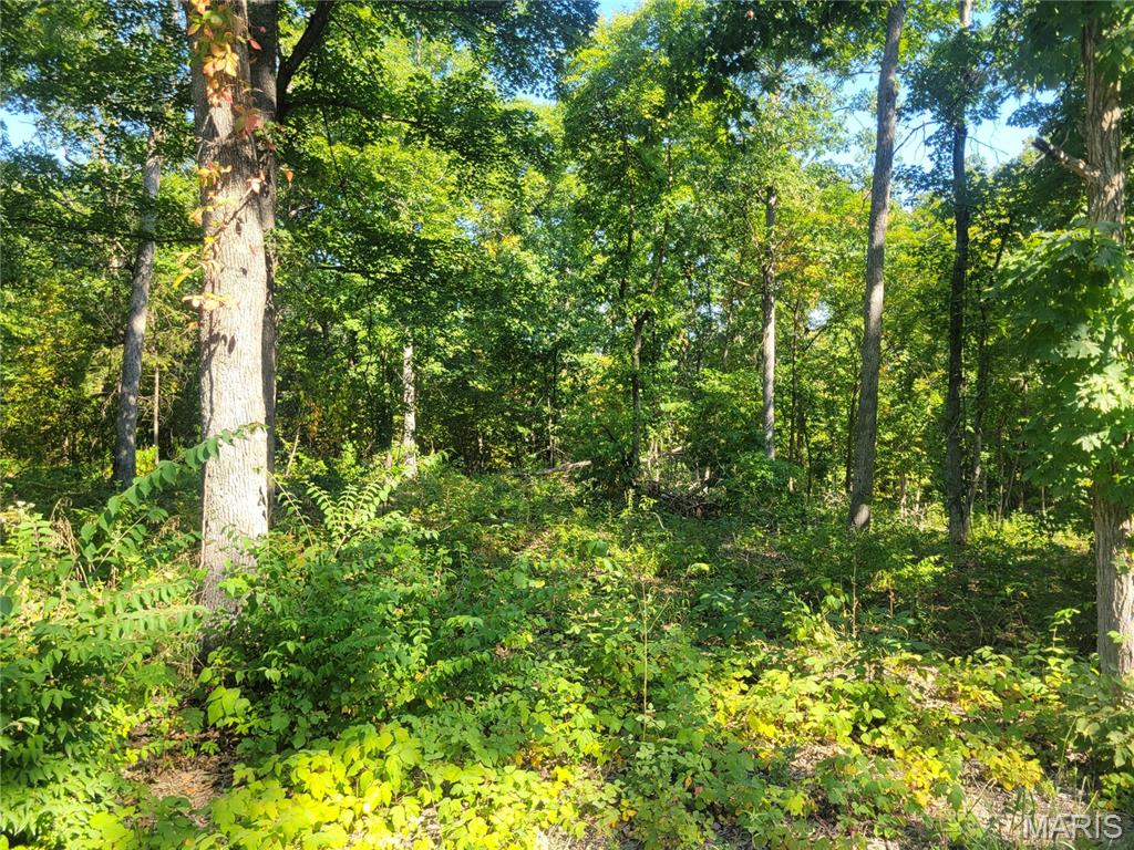 237 Jerry Miller Lane Property Photo 50