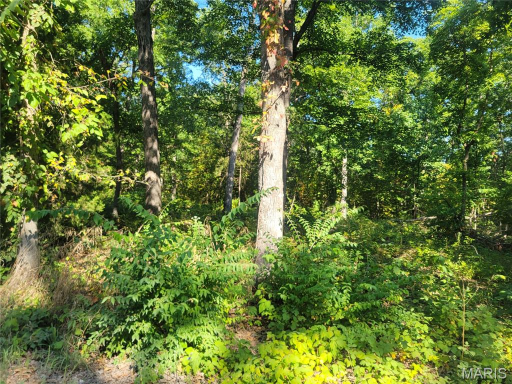 237 Jerry Miller Lane Property Photo 51