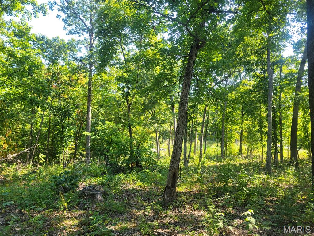 237 Jerry Miller Lane Property Photo 53