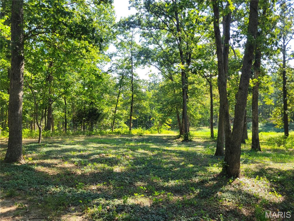 237 Jerry Miller Lane Property Photo 56