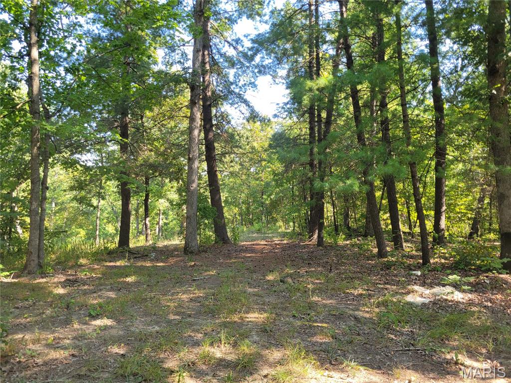 237 Jerry Miller Lane Property Photo 58