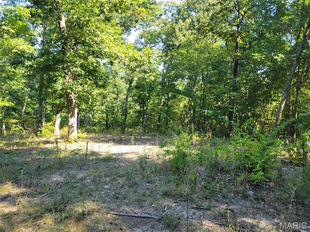 237 Jerry Miller Lane Property Photo 59