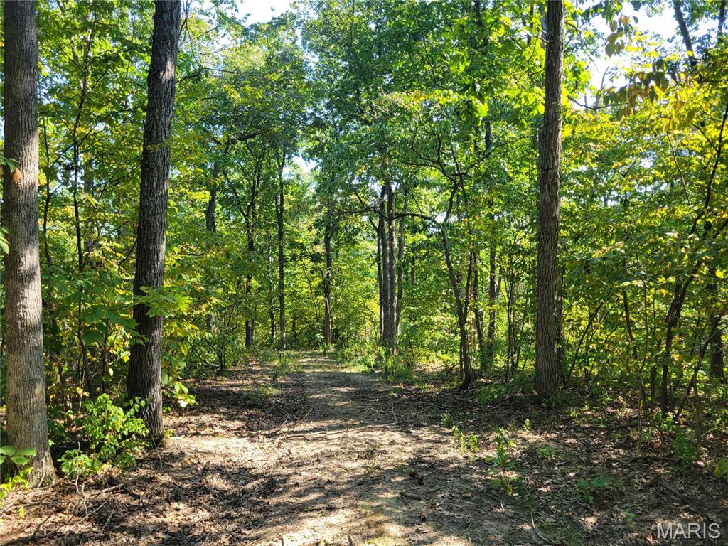 237 Jerry Miller Lane Property Photo 60