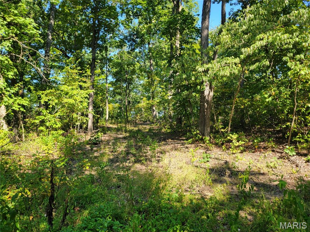 237 Jerry Miller Lane Property Photo 61