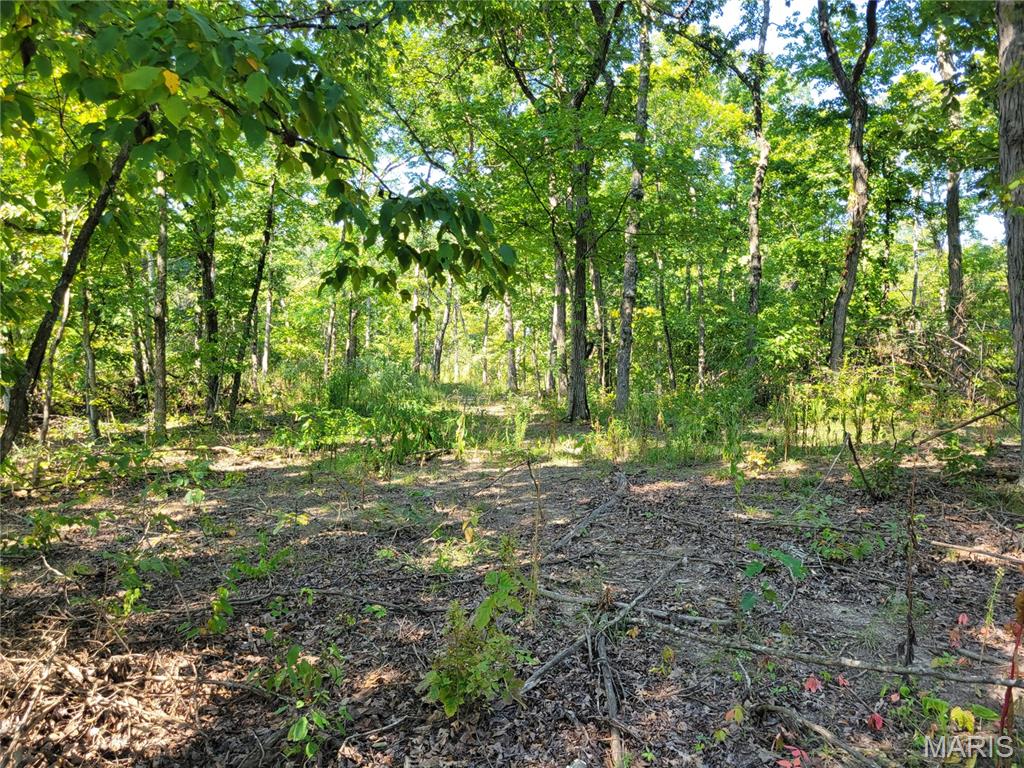 237 Jerry Miller Lane Property Photo 62