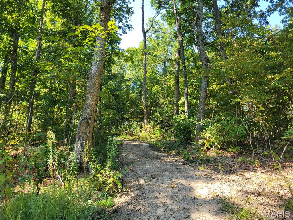 237 Jerry Miller Lane Property Photo 63