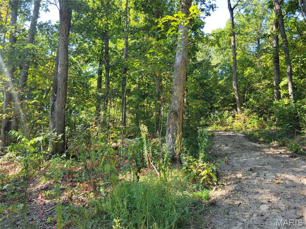 237 Jerry Miller Lane Property Photo 64